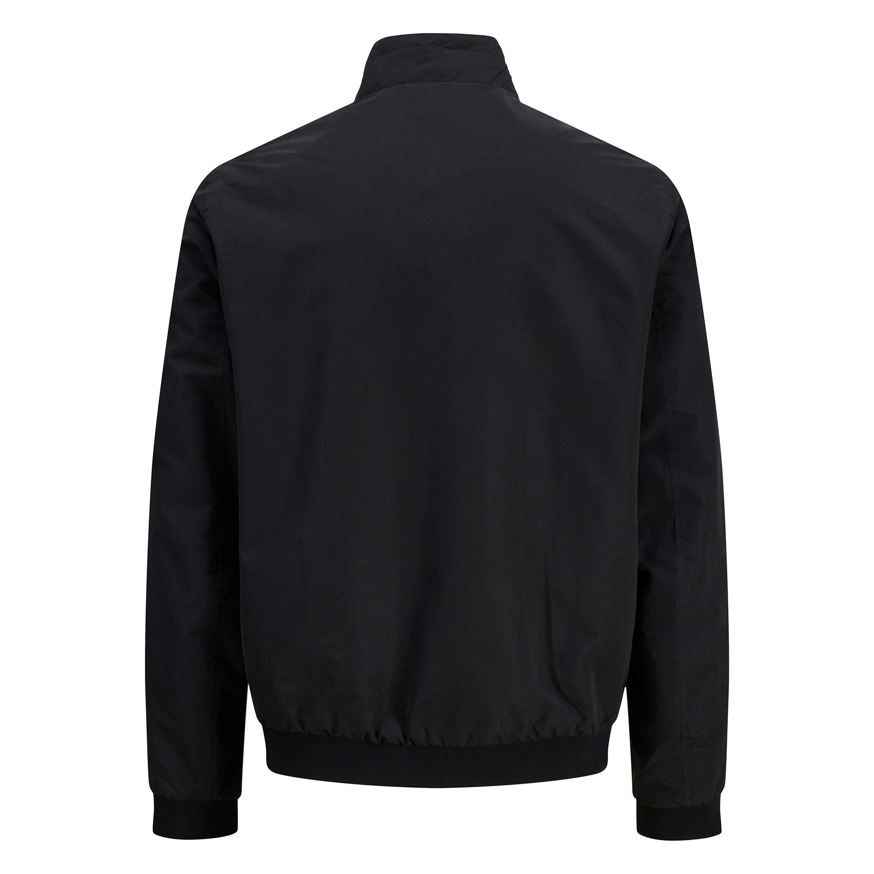 Manteau blouson