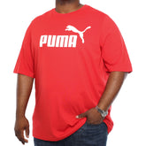 Print T-Shirt