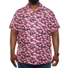 Chemise sans repassage