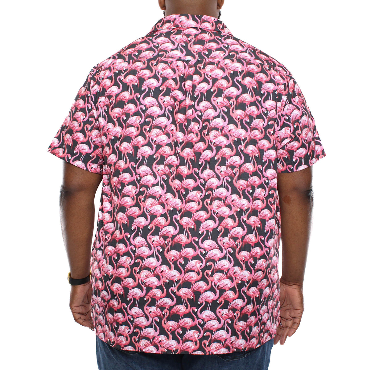Non Iron Shirt
