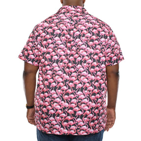 Chemise sans repassage